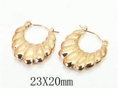 HY Wholesale Earrings 316L Stainless Steel Earrings-HY70E1228LX