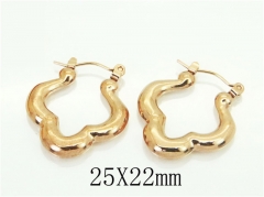 HY Wholesale Earrings 316L Stainless Steel Earrings-HY70E1268LT
