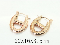 HY Wholesale Earrings 316L Stainless Steel Earrings-HY70E1278LW