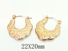 HY Wholesale Earrings 316L Stainless Steel Earrings-HY70E1243LW