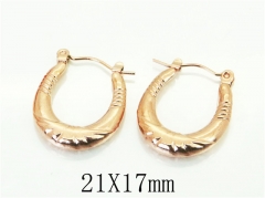 HY Wholesale Earrings 316L Stainless Steel Earrings-HY70E1253LV