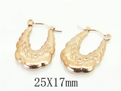 HY Wholesale Earrings 316L Stainless Steel Earrings-HY70E1238LW