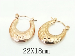 HY Wholesale Earrings 316L Stainless Steel Earrings-HY70E1223LD