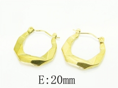 HY Wholesale Earrings 316L Stainless Steel Earrings-HY70E1280LQ