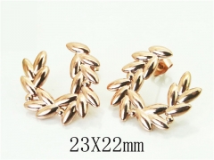 HY Wholesale Earrings 316L Stainless Steel Earrings-HY70E1291LR