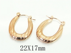 HY Wholesale Earrings 316L Stainless Steel Earrings-HY70E1248LS