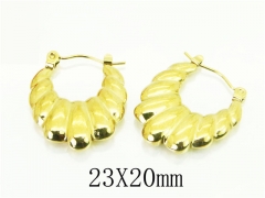 HY Wholesale Earrings 316L Stainless Steel Earrings-HY70E1225LR