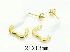 HY Wholesale Earrings 316L Stainless Steel Earrings-HY06E0340PQ