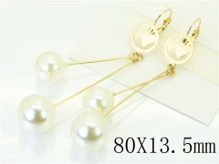 HY Wholesale Earrings 316L Stainless Steel Popular Jewelry Earrings-HY60E1225JF