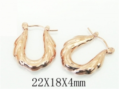 HY Wholesale Earrings 316L Stainless Steel Popular Jewelry Earrings-HY70E0981LV