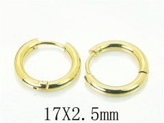HY Wholesale Earrings 316L Stainless Steel Popular Jewelry Earrings-HY72E0023HM