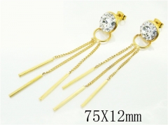 HY Wholesale Earrings 316L Stainless Steel Popular Jewelry Earrings-HY26E0452OW