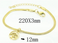 HY Wholesale 316L Stainless Steel Jewelry Bracelets-HY91B0281NG