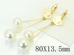 HY Wholesale Earrings 316L Stainless Steel Popular Jewelry Earrings-HY60E1257JD