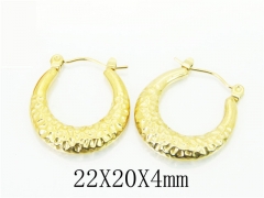 HY Wholesale Earrings 316L Stainless Steel Popular Jewelry Earrings-HY70E1013LW