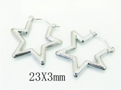HY Wholesale Earrings 316L Stainless Steel Popular Jewelry Earrings-HY70E1002KE