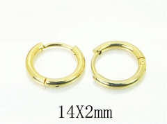 HY Wholesale Earrings 316L Stainless Steel Popular Jewelry Earrings-HY72E0020H5