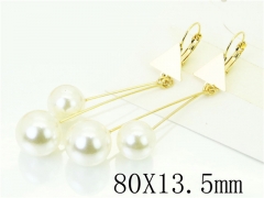 HY Wholesale Earrings 316L Stainless Steel Popular Jewelry Earrings-HY60E1195JW