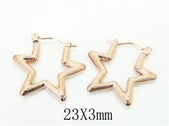 HY Wholesale Earrings 316L Stainless Steel Popular Jewelry Earrings-HY70E1006LD