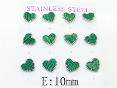 HY Wholesale Earrings 316L Stainless Steel Popular Jewelry Earrings-HY59E1138IHD
