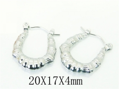 HY Wholesale Earrings 316L Stainless Steel Popular Jewelry Earrings-HY70E0972KX