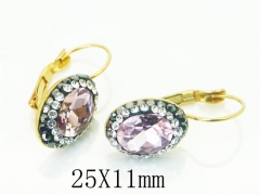 HY Wholesale Earrings 316L Stainless Steel Popular Jewelry Earrings-HY72E0042KE