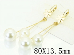 HY Wholesale Earrings 316L Stainless Steel Popular Jewelry Earrings-HY60E1250JC