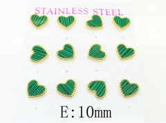 HY Wholesale Earrings 316L Stainless Steel Popular Jewelry Earrings-HY59E1139IKF