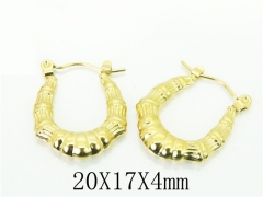 HY Wholesale Earrings 316L Stainless Steel Popular Jewelry Earrings-HY70E0973LQ