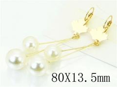 HY Wholesale Earrings 316L Stainless Steel Popular Jewelry Earrings-HY60E1204JG