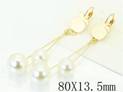 HY Wholesale Earrings 316L Stainless Steel Popular Jewelry Earrings-HY60E1231JX