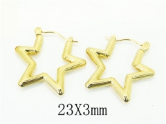 HY Wholesale Earrings 316L Stainless Steel Popular Jewelry Earrings-HY70E1003LQ