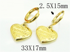 HY Wholesale Earrings 316L Stainless Steel Popular Jewelry Earrings-HY32E0390NA