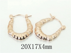 HY Wholesale Earrings 316L Stainless Steel Popular Jewelry Earrings-HY70E0976LD