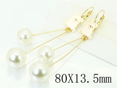 HY Wholesale Earrings 316L Stainless Steel Popular Jewelry Earrings-HY60E1198JQ