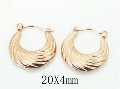 HY Wholesale Earrings 316L Stainless Steel Popular Jewelry Earrings-HY70E1011LV
