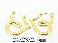 HY Wholesale Earrings 316L Stainless Steel Popular Jewelry Earrings-HY70E0943LA