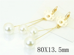 HY Wholesale Earrings 316L Stainless Steel Popular Jewelry Earrings-HY60E1186JE
