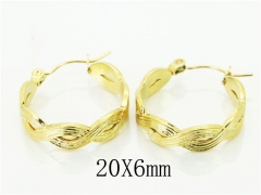 HY Wholesale Earrings 316L Stainless Steel Popular Jewelry Earrings-HY70E0928LQ