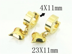 HY Wholesale Earrings 316L Stainless Steel Popular Jewelry Earrings-HY72E0011IK