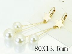 HY Wholesale Earrings 316L Stainless Steel Popular Jewelry Earrings-HY60E1165JF