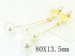 HY Wholesale Earrings 316L Stainless Steel Popular Jewelry Earrings-HY60E1210JQ