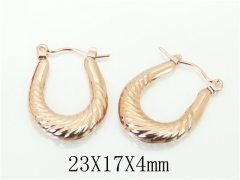 HY Wholesale Earrings 316L Stainless Steel Popular Jewelry Earrings-HY70E0971LC