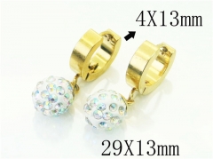HY Wholesale Earrings 316L Stainless Steel Popular Jewelry Earrings-HY72E0012IO