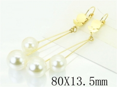 HY Wholesale Earrings 316L Stainless Steel Popular Jewelry Earrings-HY60E1217JR