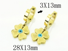 HY Wholesale Earrings 316L Stainless Steel Popular Jewelry Earrings-HY91E0480OL