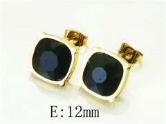 HY Wholesale Earrings 316L Stainless Steel Popular Jewelry Earrings-HY80E0723KF