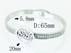 HY Wholesale Bangles Jewelry Stainless Steel 316L Fashion Bangle-HY32B0806HIR