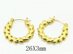 HY Wholesale Earrings 316L Stainless Steel Popular Jewelry Earrings-HY80E0704OQ