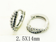 HY Wholesale Earrings 316L Stainless Steel Popular Jewelry Earrings-HY31E0160PV